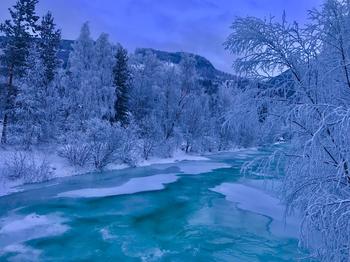 Rennende elv med isflak omgitt a hvite trær, en kald vinterdag.