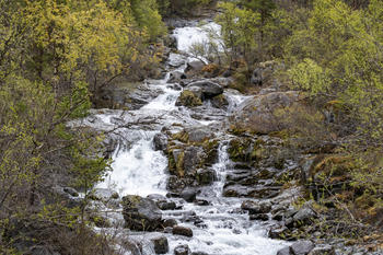 Rennende elv ved navn Smådøla - Eidefoss Strøm