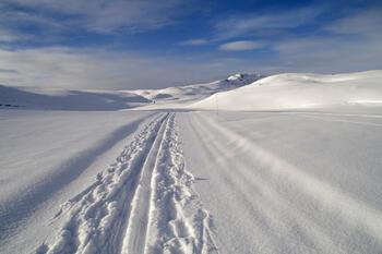 Skispor i vinterlandskap i Rondane.