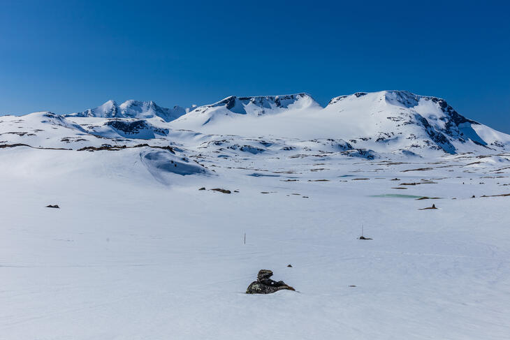 Jotunheimen dekket i snø, en solfylt vårdag.