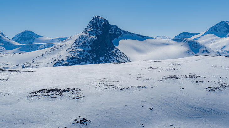 Fjelltopp i Jotunheimen en vårdag med skyfri himmel. Foto: Fotoknoff AS.